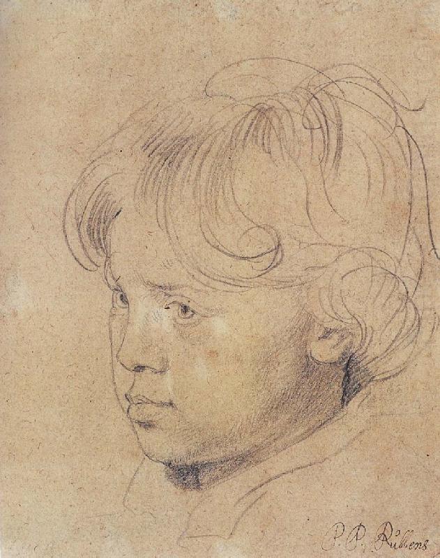 Portrait of Younger Rubens, Peter Paul Rubens